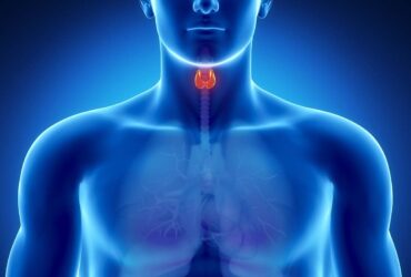 Endocrinologia