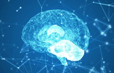 Psicologia / Neuropsicologia / Psicoterapia