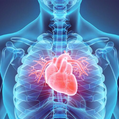 cardiologia-img