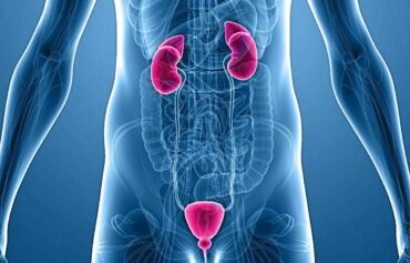 Urologia